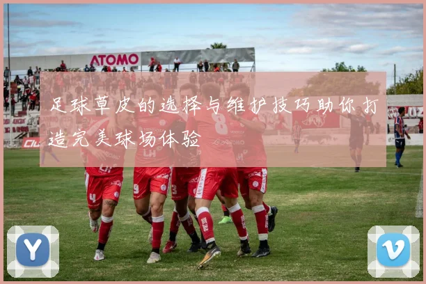 足球草皮的选择与维护技巧助你打造完美球场体验